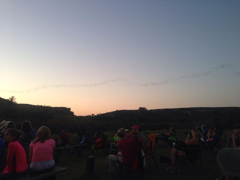 Selman Bat Cave Wildlife Management Area Oklahoma's